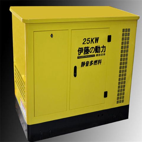 25KW多燃料发电机