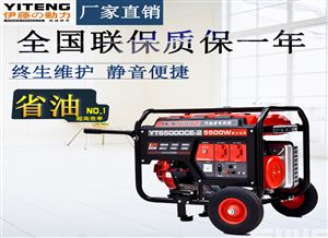 5kw电启动汽油发电机-YT6500DCE-2